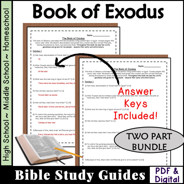 Bible Study Questions for book of Exodus - Made By Teachers
