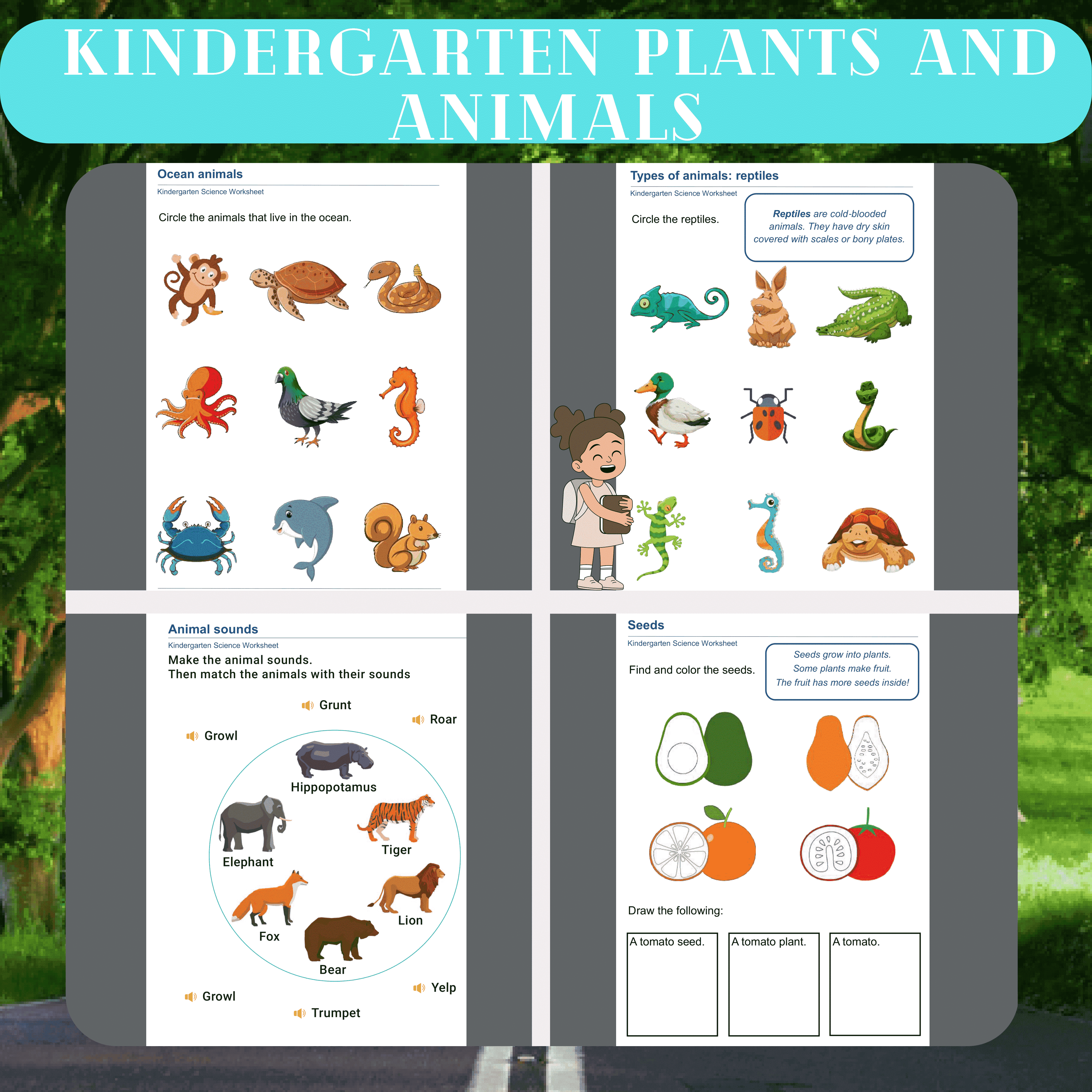 Kindergarten Plants and Animals Worksheets