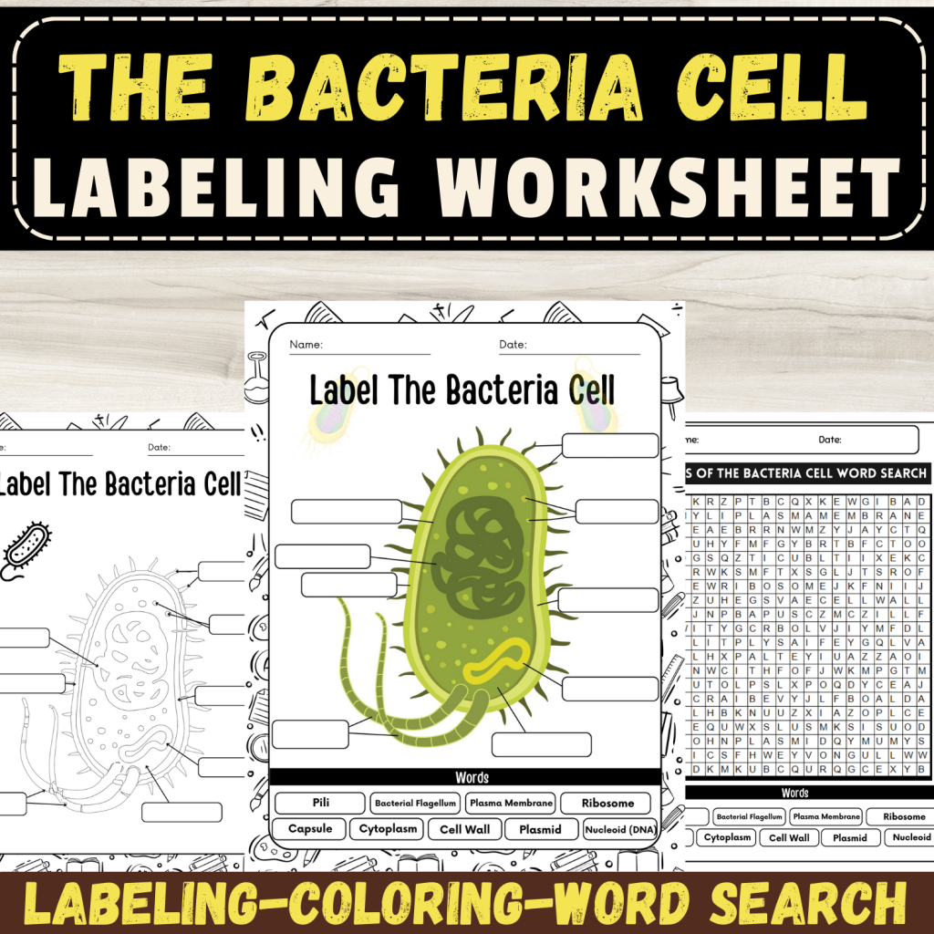 Discovering Bacterial Anatomy: Cell Parts Labeling Worksheet - Made By ...