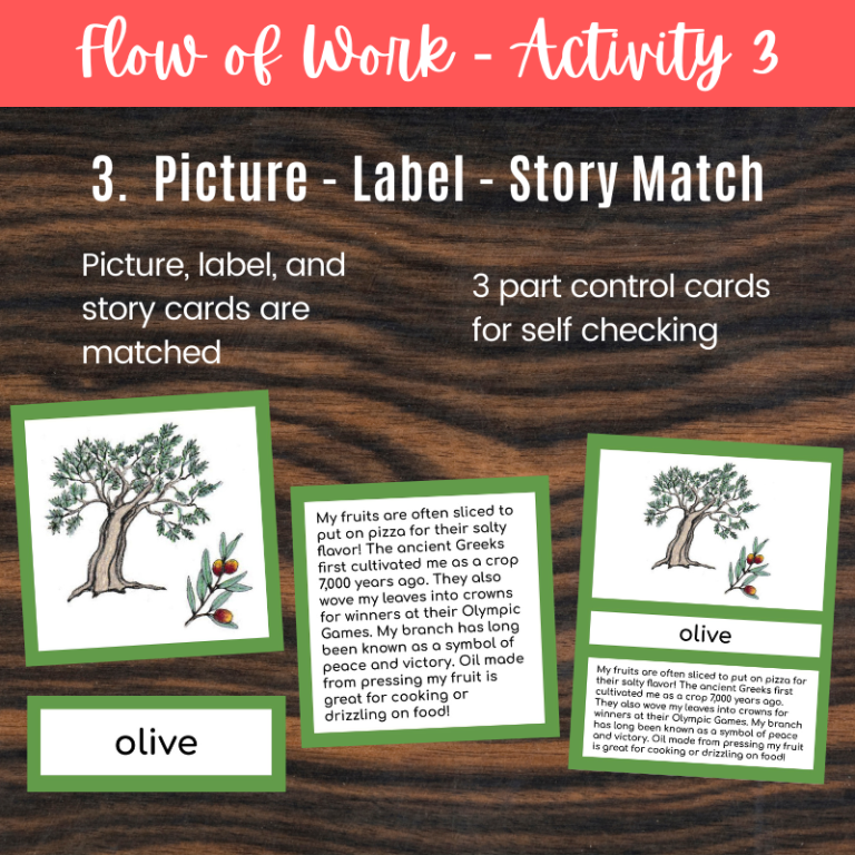 Trees Cards and Booklets - Montessori Botany Plant Kingdom - Montessori ...