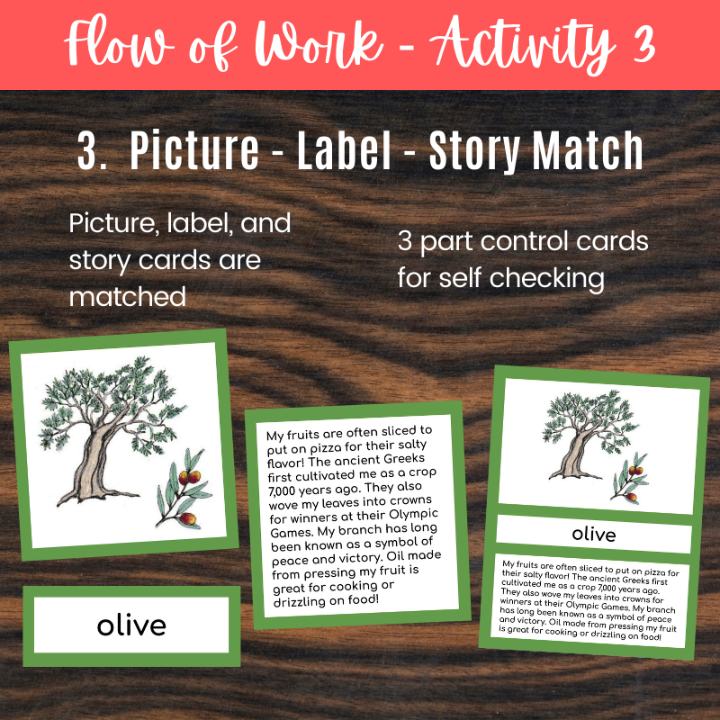 Trees Cards and Booklets - Montessori Botany Plant Kingdom - Montessori ...