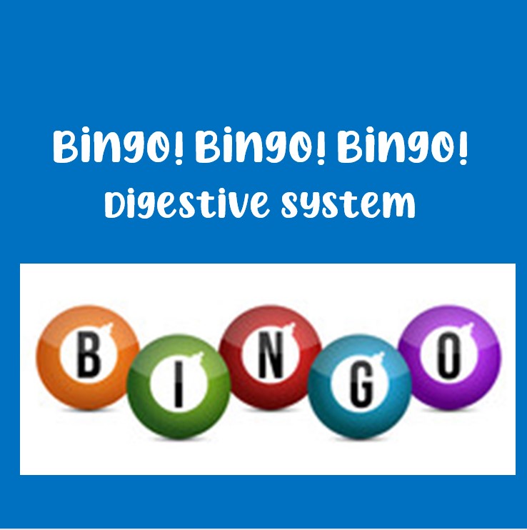 Bingo! Bingo! Bingo! Digestive System Key Terms (Anatomy, Biology, Nutrition)