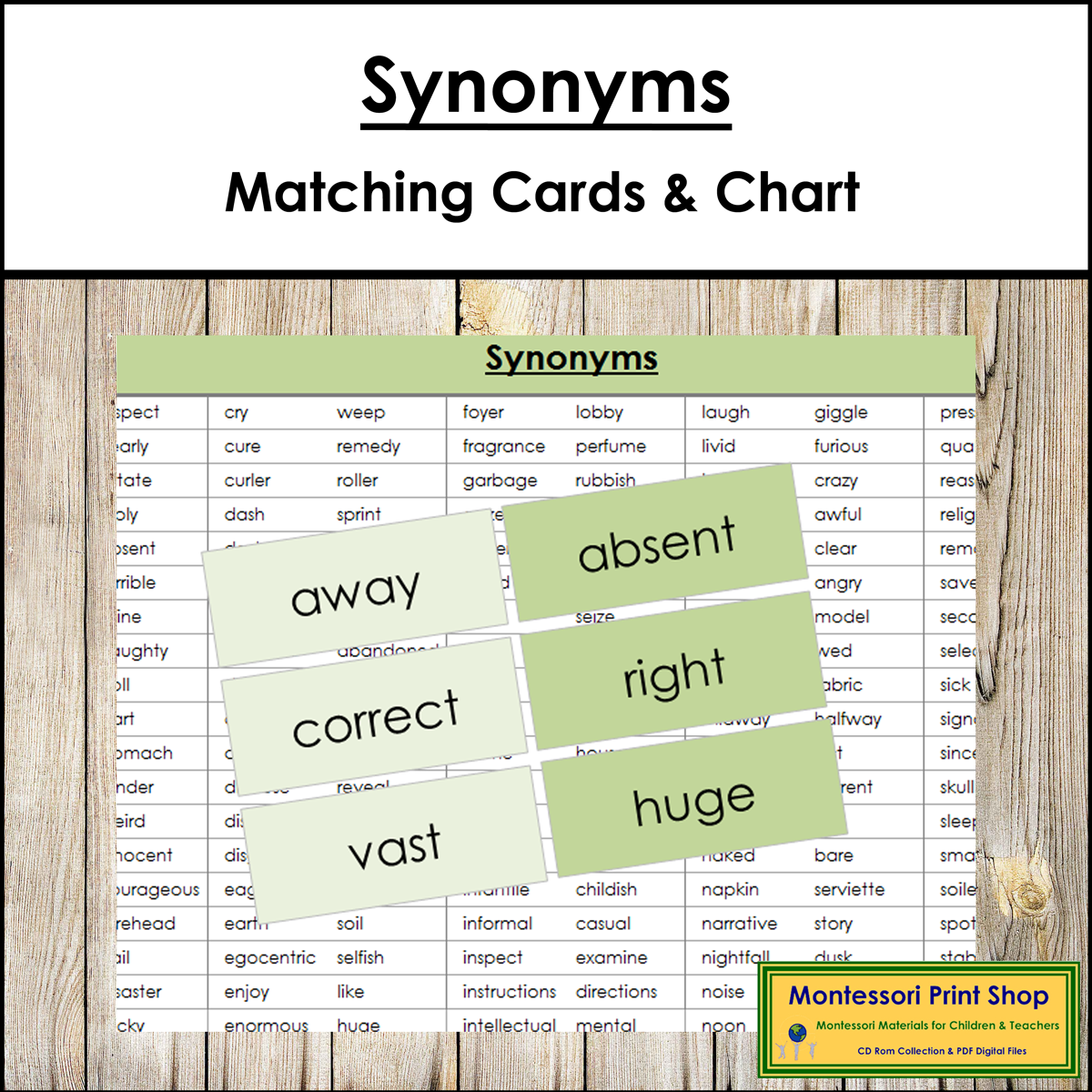 Synonyms - Matching Cards & Control Chart (color-coded)