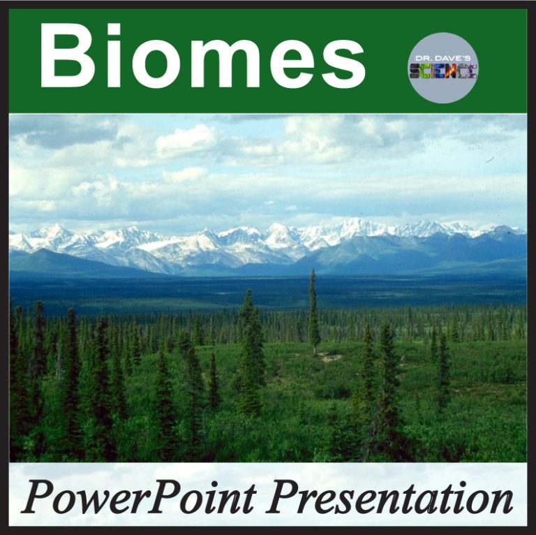 Biomes and Ecosystems PowerPoint - Made By Teachers