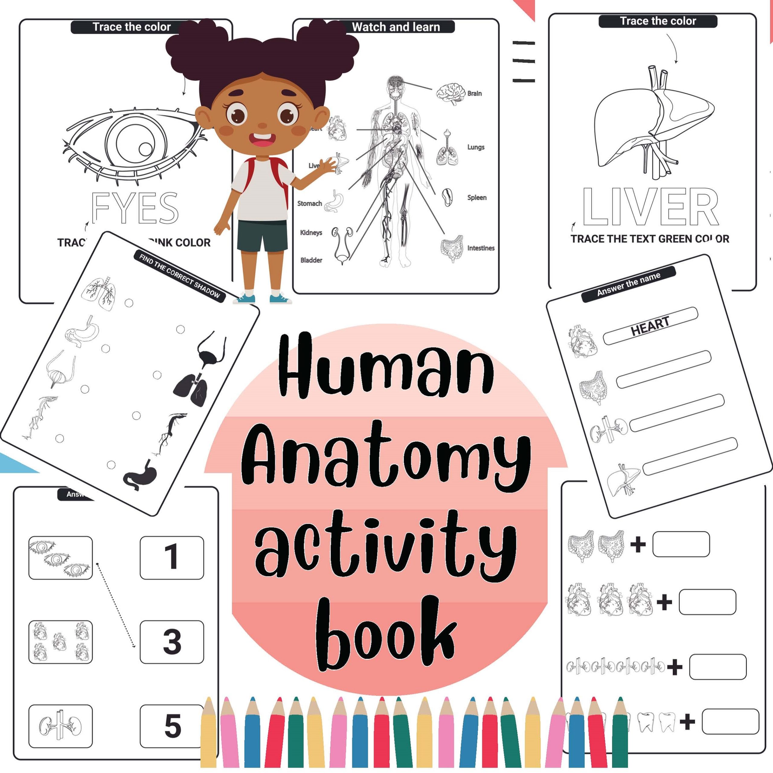 Every Body Math Human Body Maths Activities