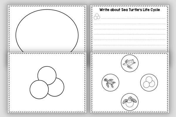 Sea Turtle Life Cycle - Sea Turtle Life Cycle Craft and Cut & Paste ...