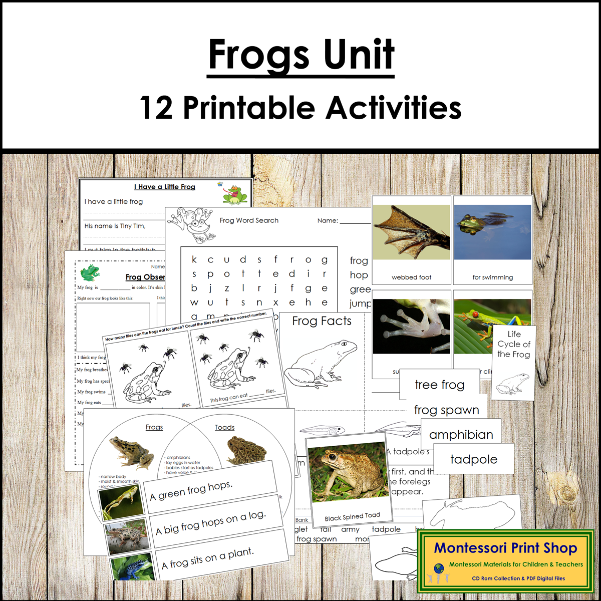 Frogs Unit - Starter Pack