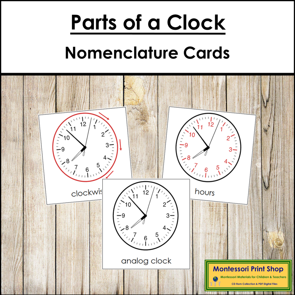 Parts of a Clock 3-Part Cards - Montessori Nomenclature - Made By Teachers