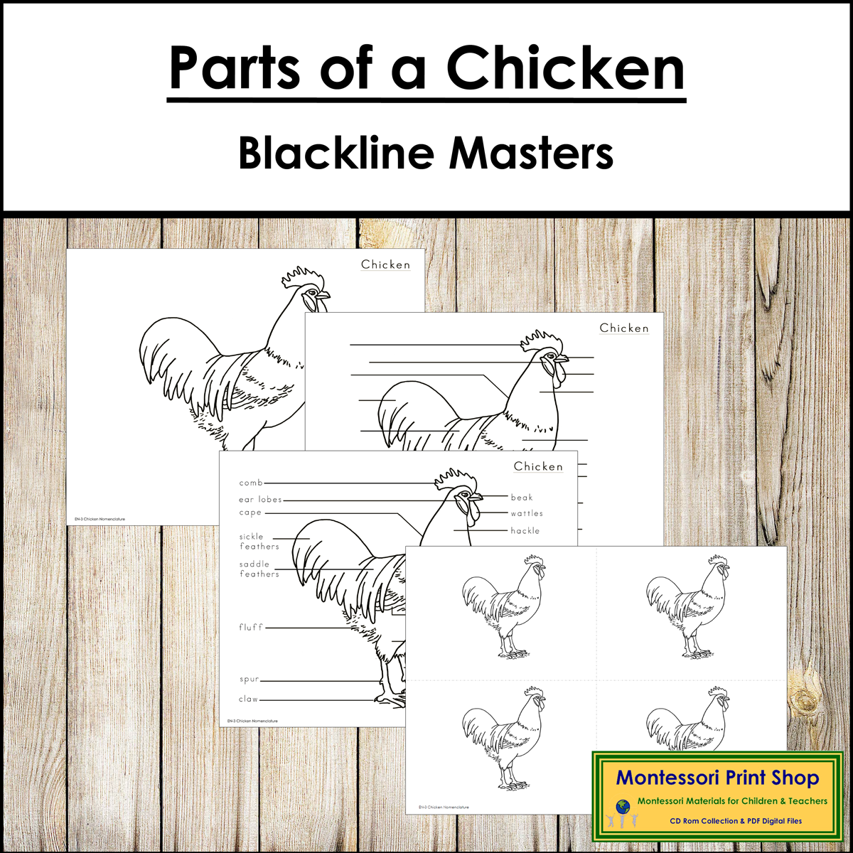 Parts of a Chicken - Elementary Montessori Nomenclature