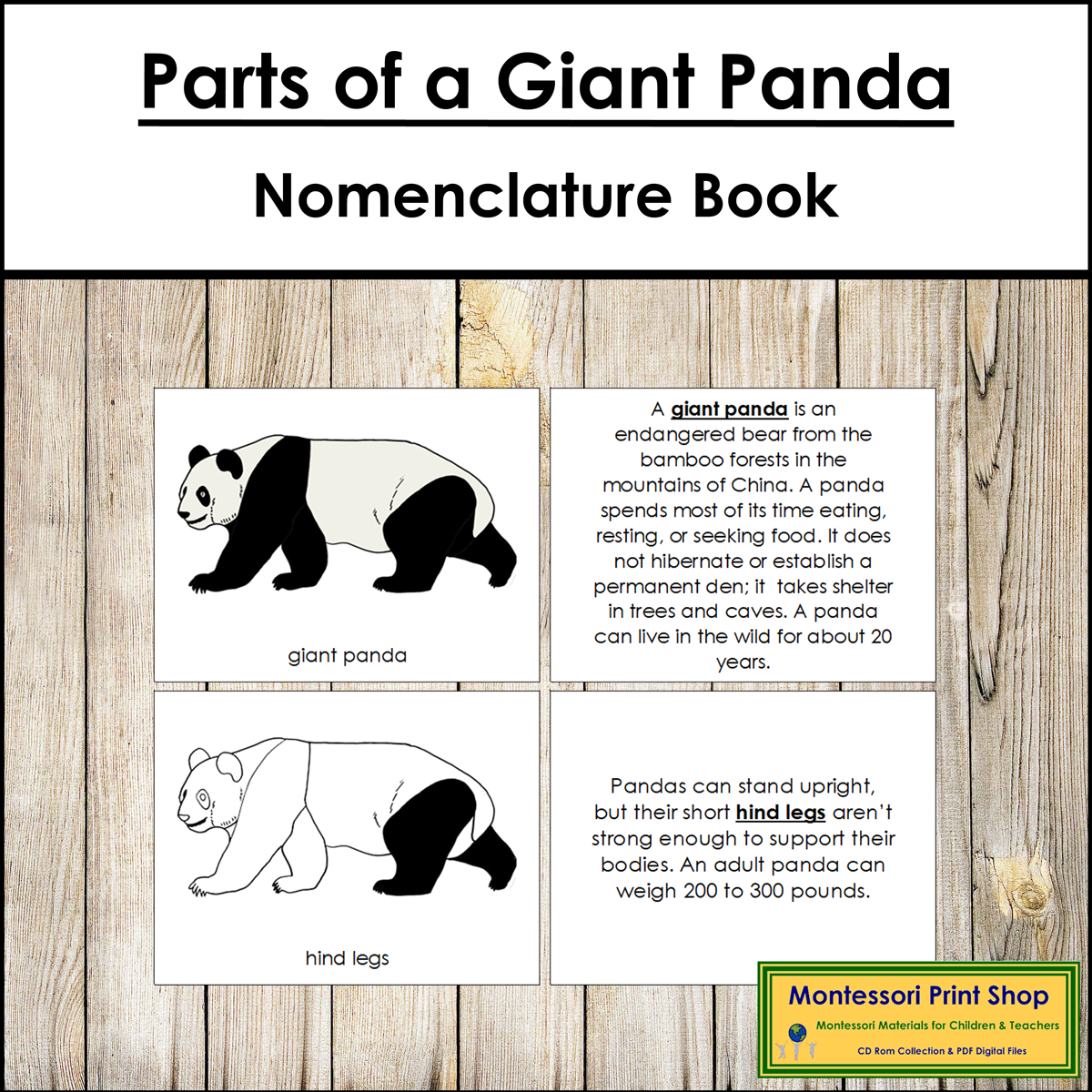 Parts of a Giant Panda Book - Montessori Nomenclature