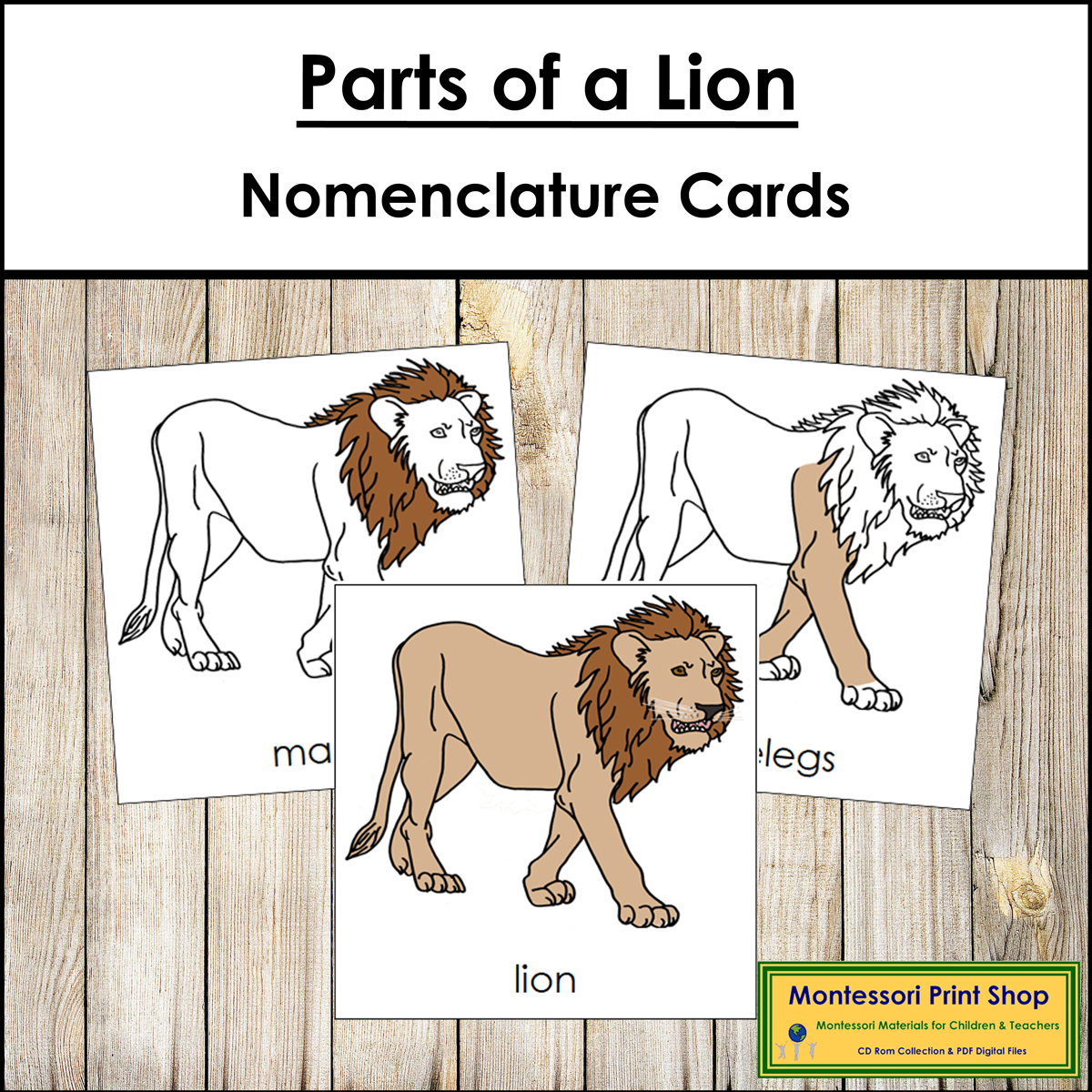 Parts of a Lion 3-Part Cards - Montessori Nomenclature | Made By