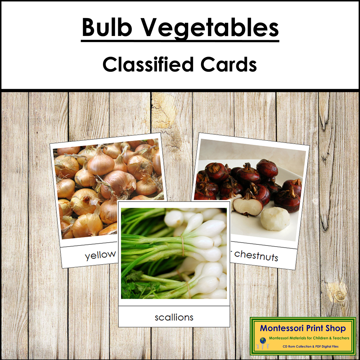 Types of Bulb Vegetables - Picture Cards - Vocabulary, ESL
