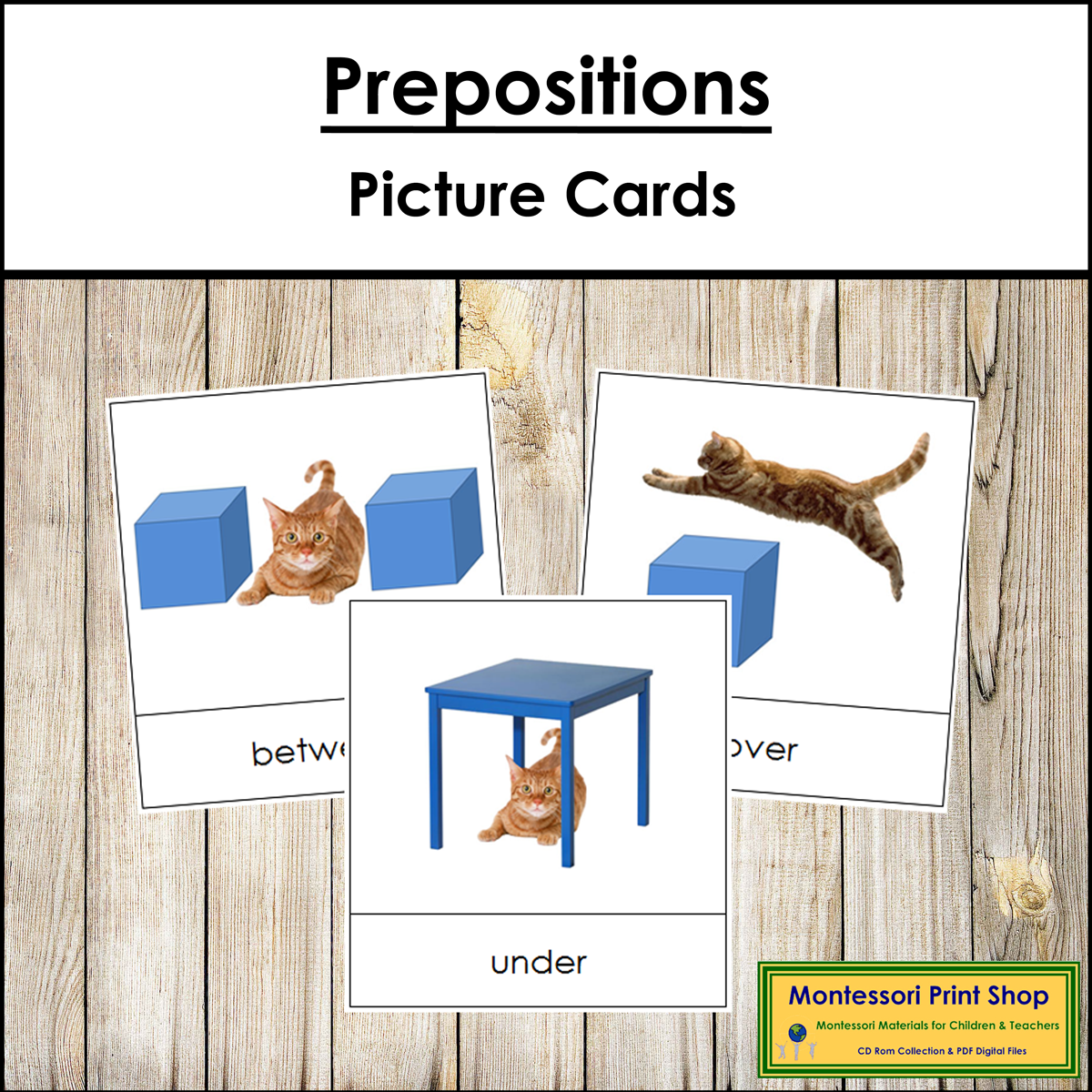 Preposition Picture Cards (Cat) - Primary Grammar