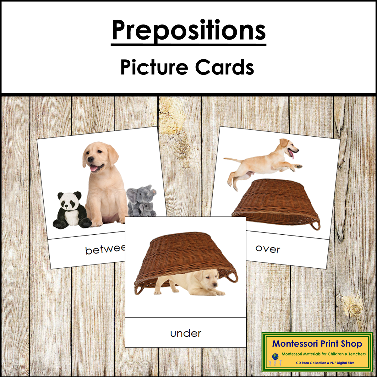 Preposition Picture Cards (Dog) - Primary Montessori Grammar