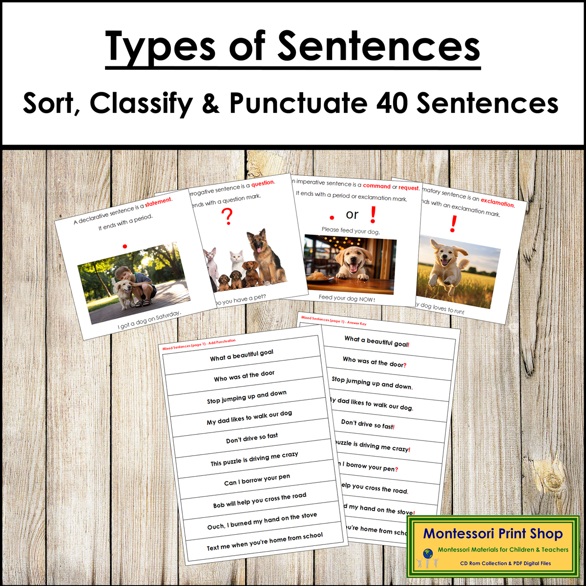 Types of Sentences - Montessori Primary and Elementary Grammar