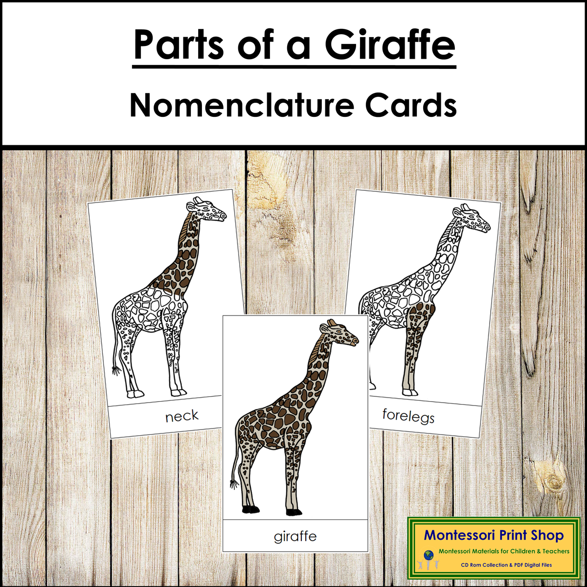 Parts of a Giraffe 3-Part Cards - Montessori Nomenclature
