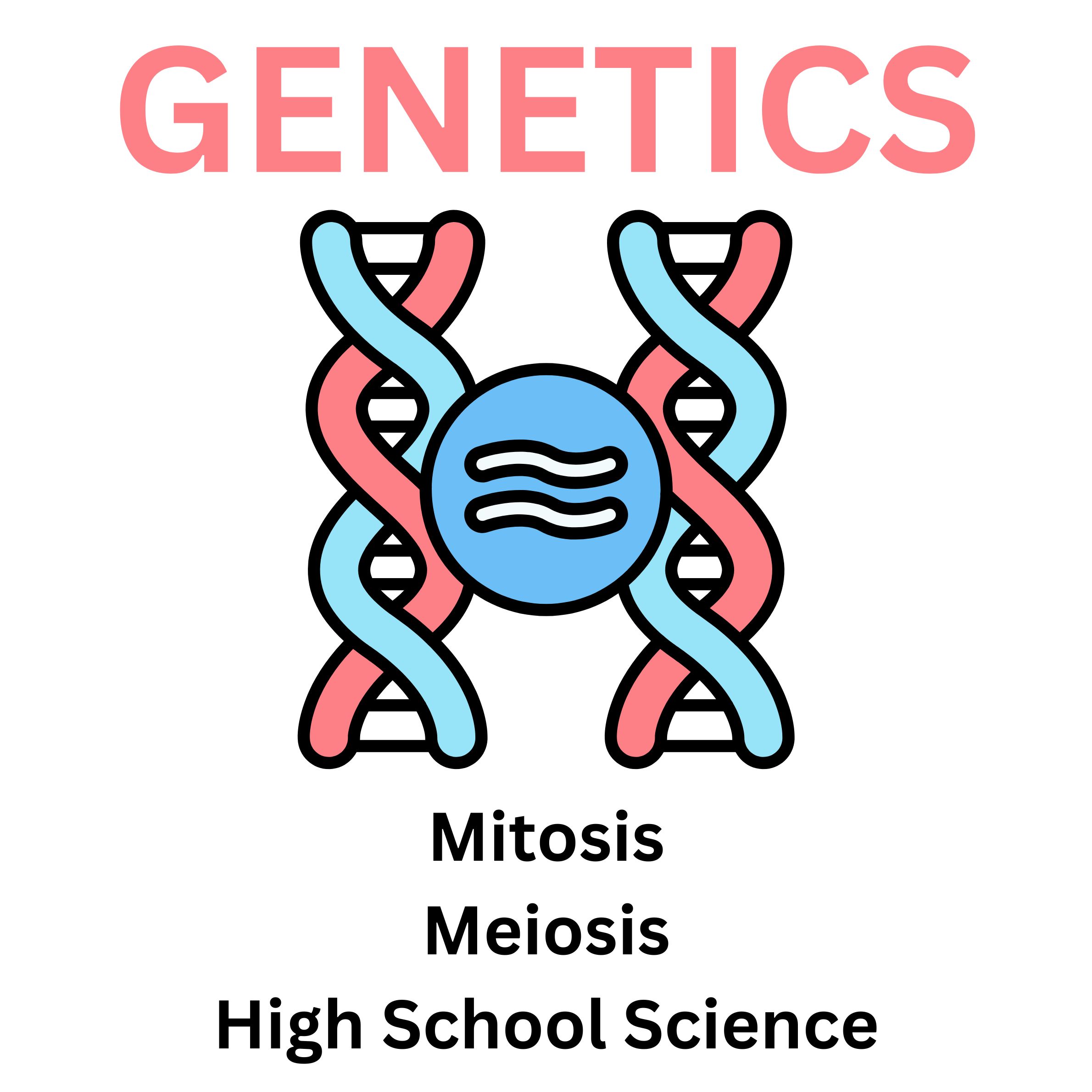 Genetics Mitosis and Meiosis DNA Lesson for High School Science