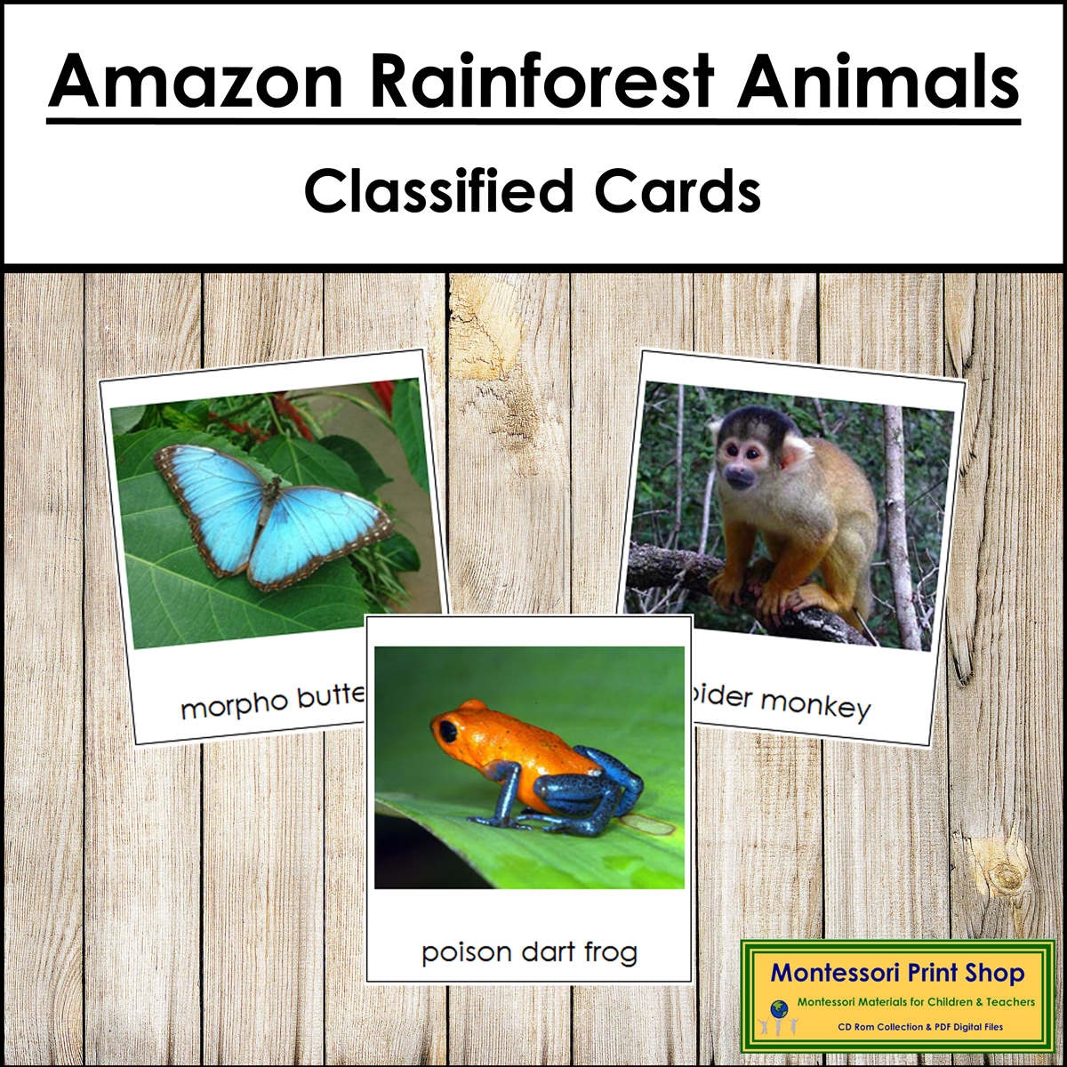 Types of Amazon Rainforest Animals - Montessori 3-Part Cards - Vocabulary, ESL