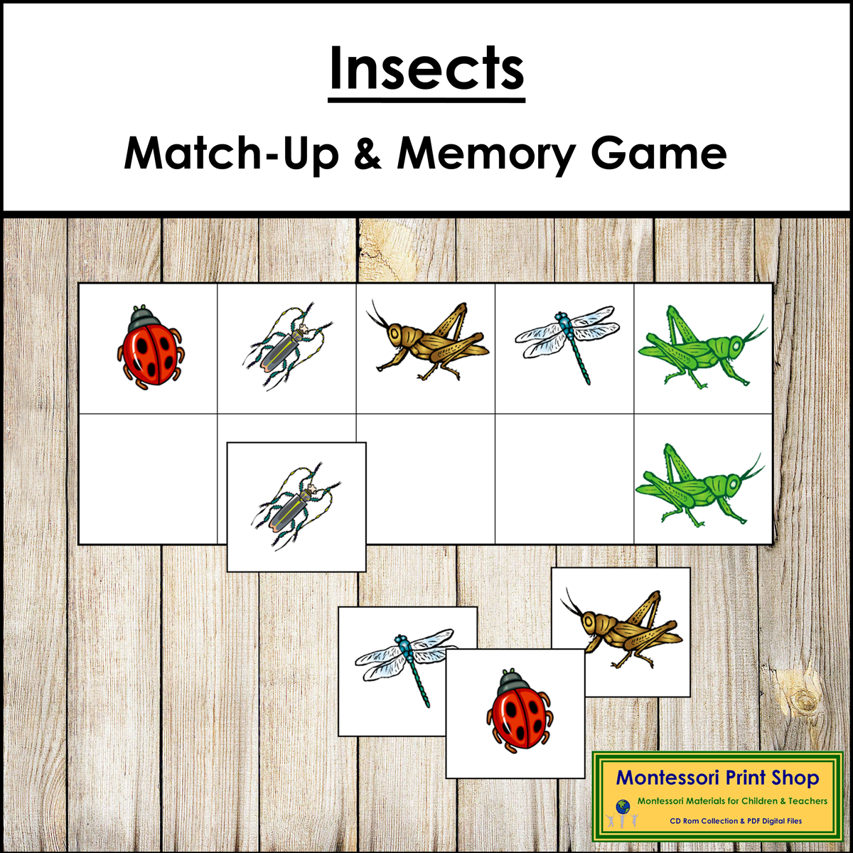 Parts of a Honey Bee Book - Montessori Nomenclature - Made By Teachers