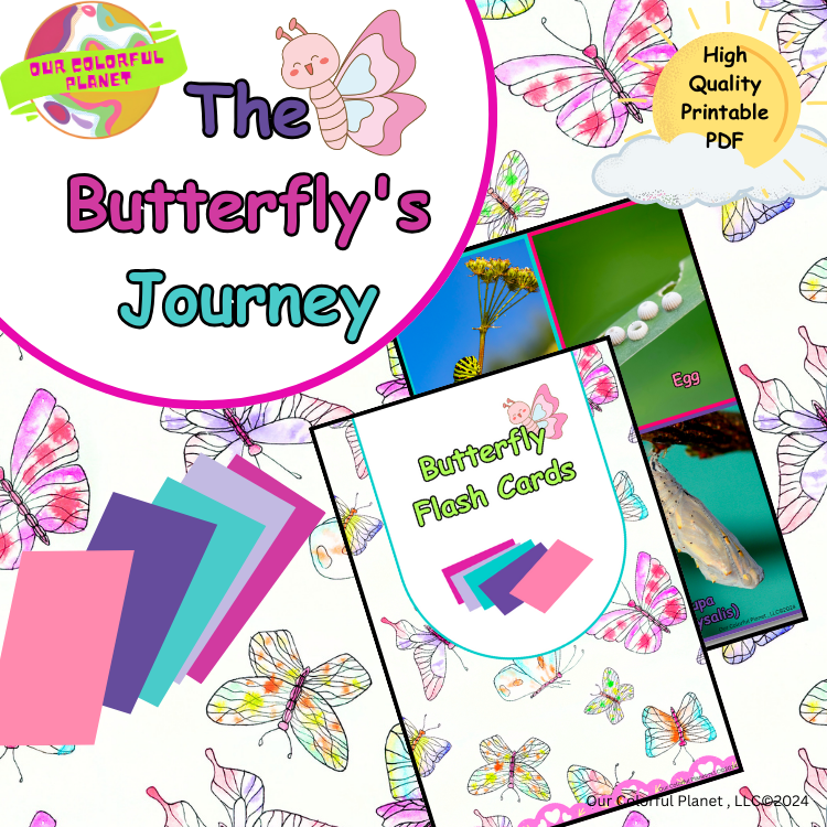 Spring Bundle Life Cycle of a Butterfly,Printable Activities,Reading, Flashcards