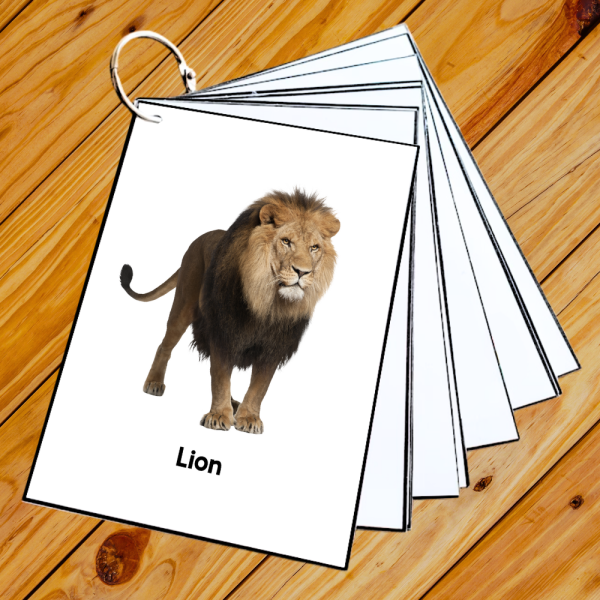 Jungle ANIMALS • Montessori Cards • Flash Cards Nomenclature Cards PDF ...