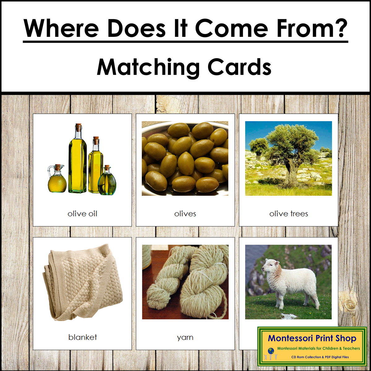 Where Does It Come From? - Matching Cards & Control Cards Set #1