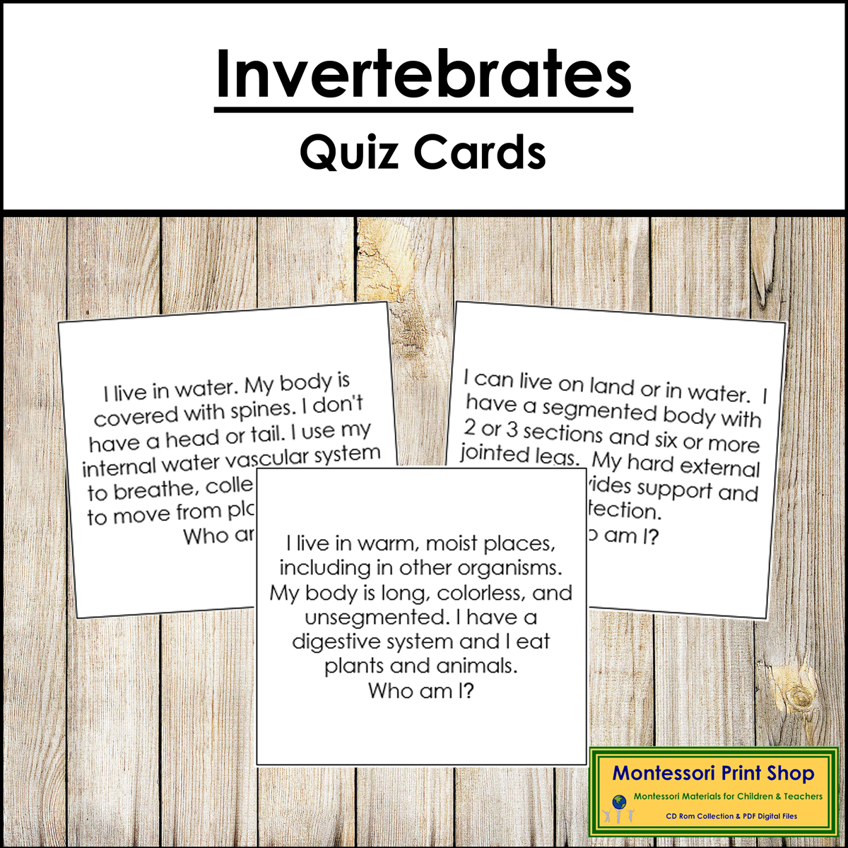 Invertebrates (8 Classes) - Quiz Cards