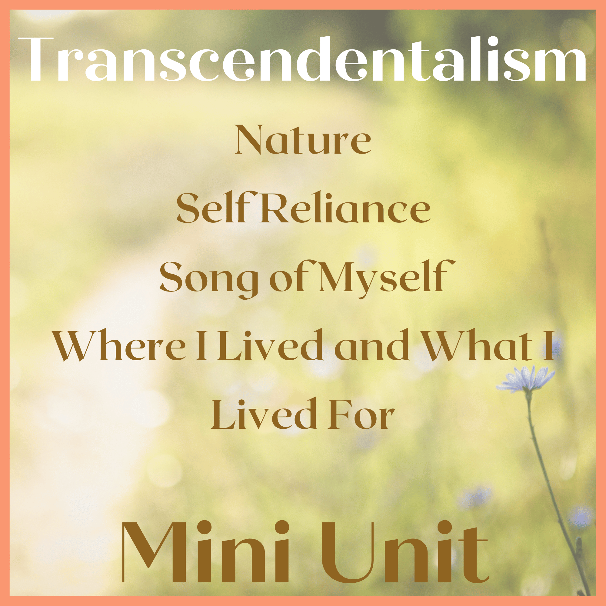 Transcendentalism Mini Unit; American Literature Mini Unit