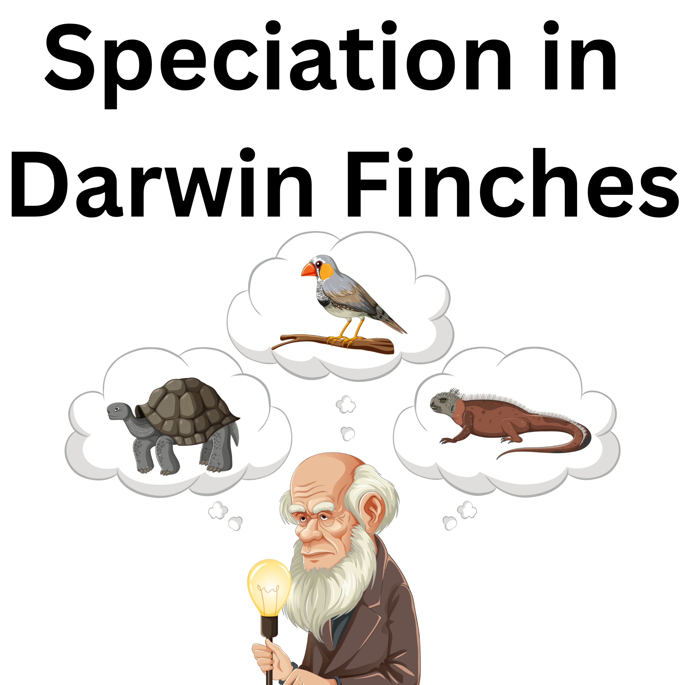 AP Biology Genetics & Evolution lab Adapt of Bird Beaks Darwin