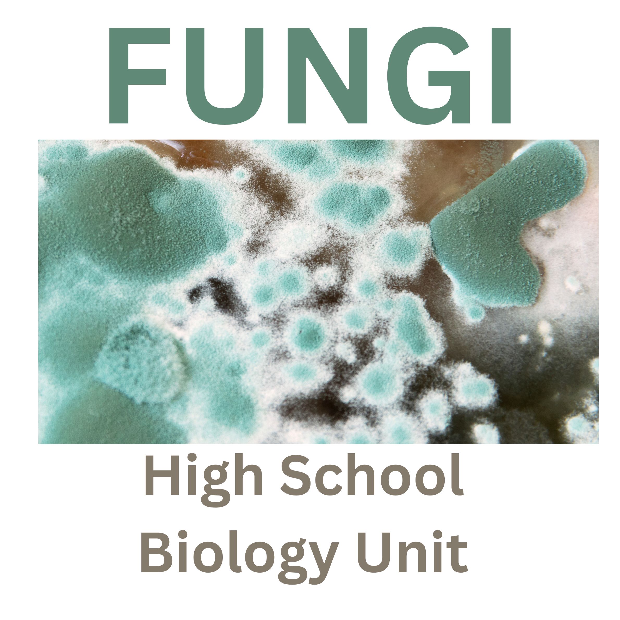 AP Biology Fungi Unit Labs, and Readings High School Science