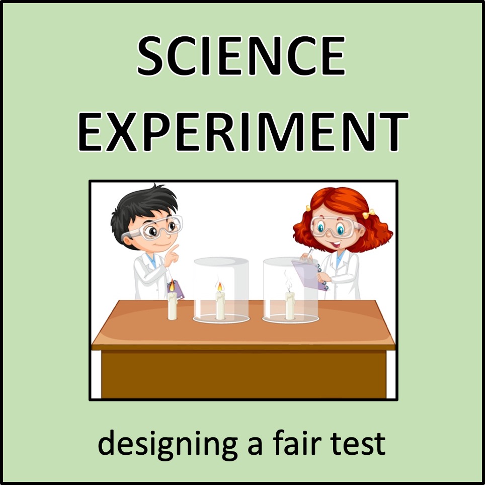Science Experiment: Designing a Fair Test