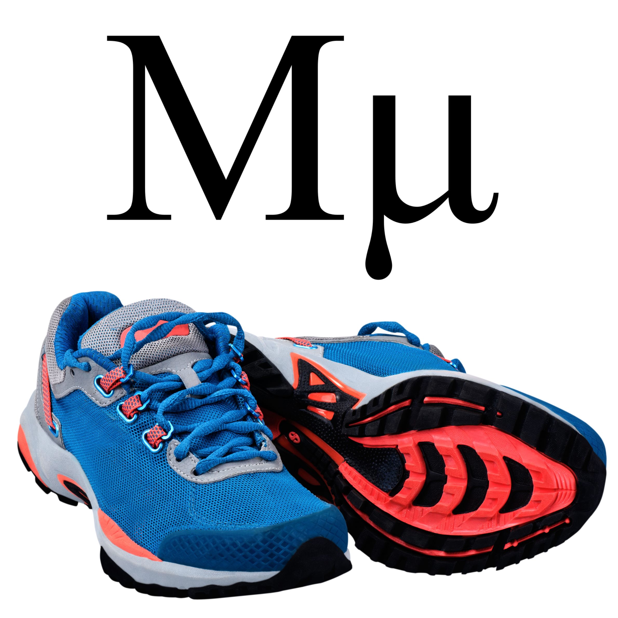 Lab - AP Physics 1 – The Mu of Your Shoe