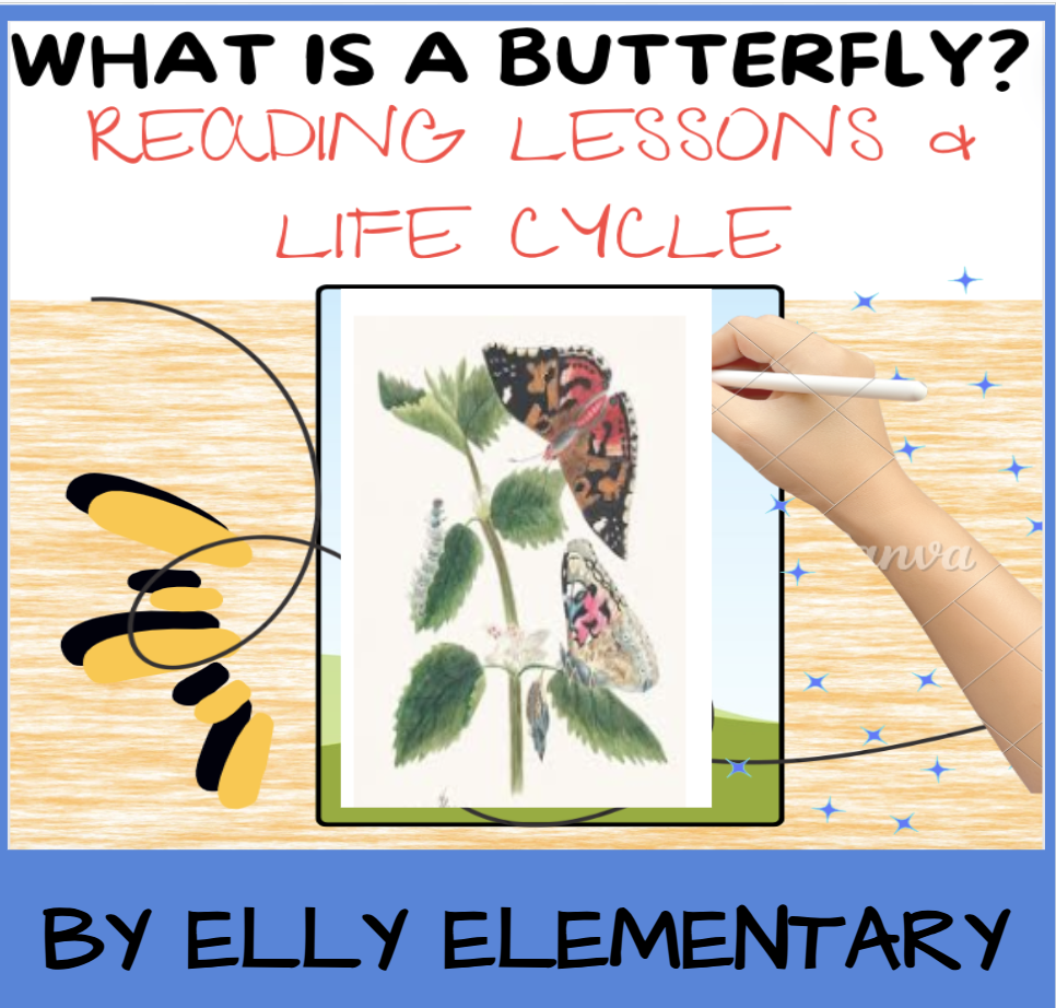 WHAT IS A BUTTERFLY? - READING LESSONS, RESEARCH & LIFE CYCLE ACTIVITIES