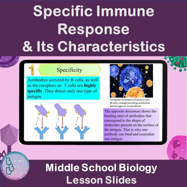 Define Specific Immunity Specific Immune Response Characteristics PowerPoint Lesson Middle ...