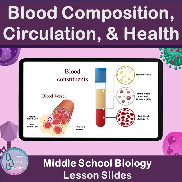 Blood Composition, Circulation,& Health| PowerPoint Lesson Slides Middle School Biology