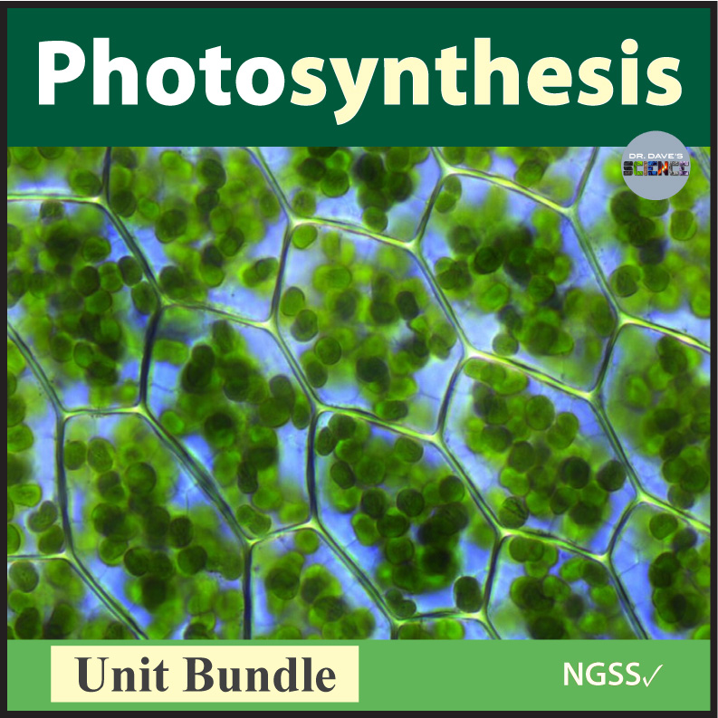 Photosynthesis Activities and Unit Bundle