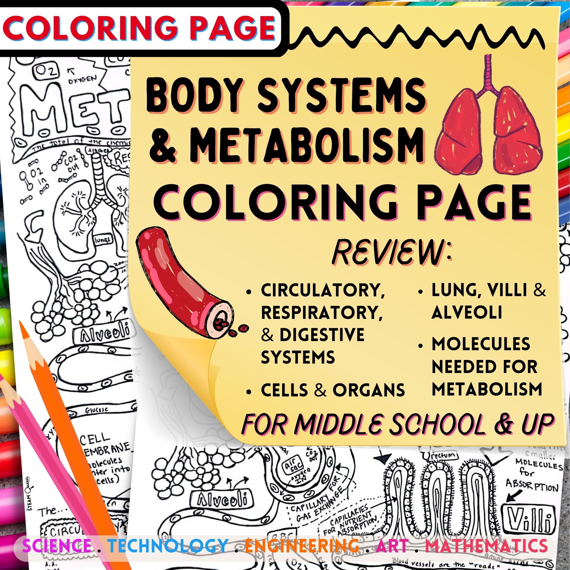Metabolism Graphic Notes Coloring Page: Definitions Concepts Diagrams SEL Review Brain Break