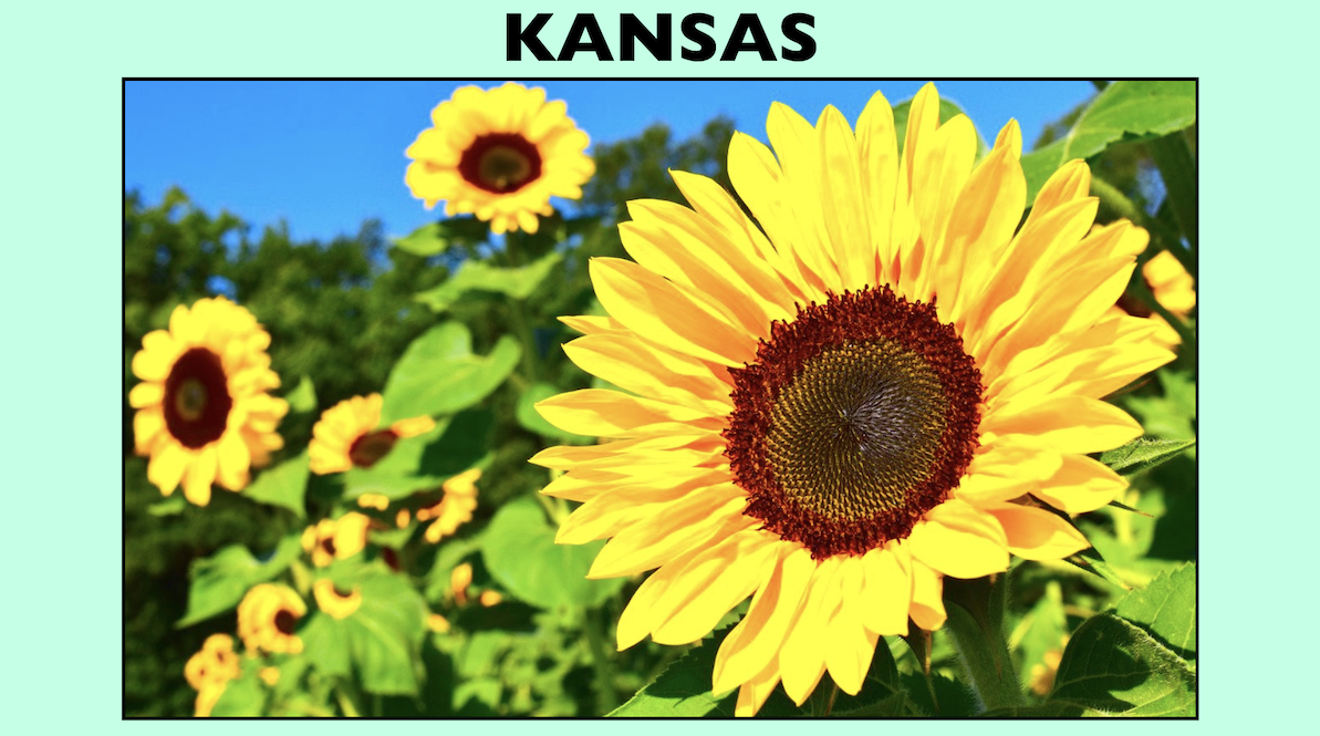 KANSAS: The Ultimate PowerPoint/Keynote