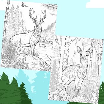 Wild Animal Coloring Book Pages for Adults - Part 11 | Made By Teachers