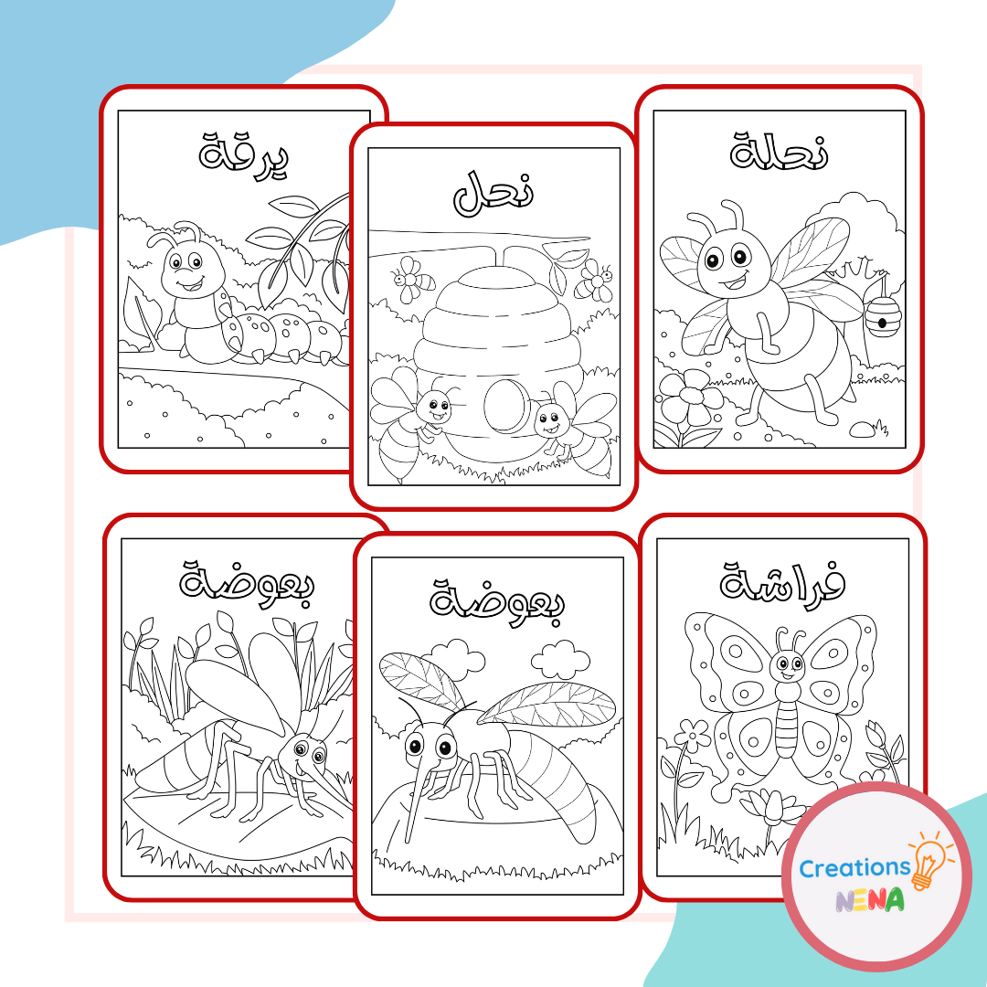 Insects in Arabic | Made By Teachers