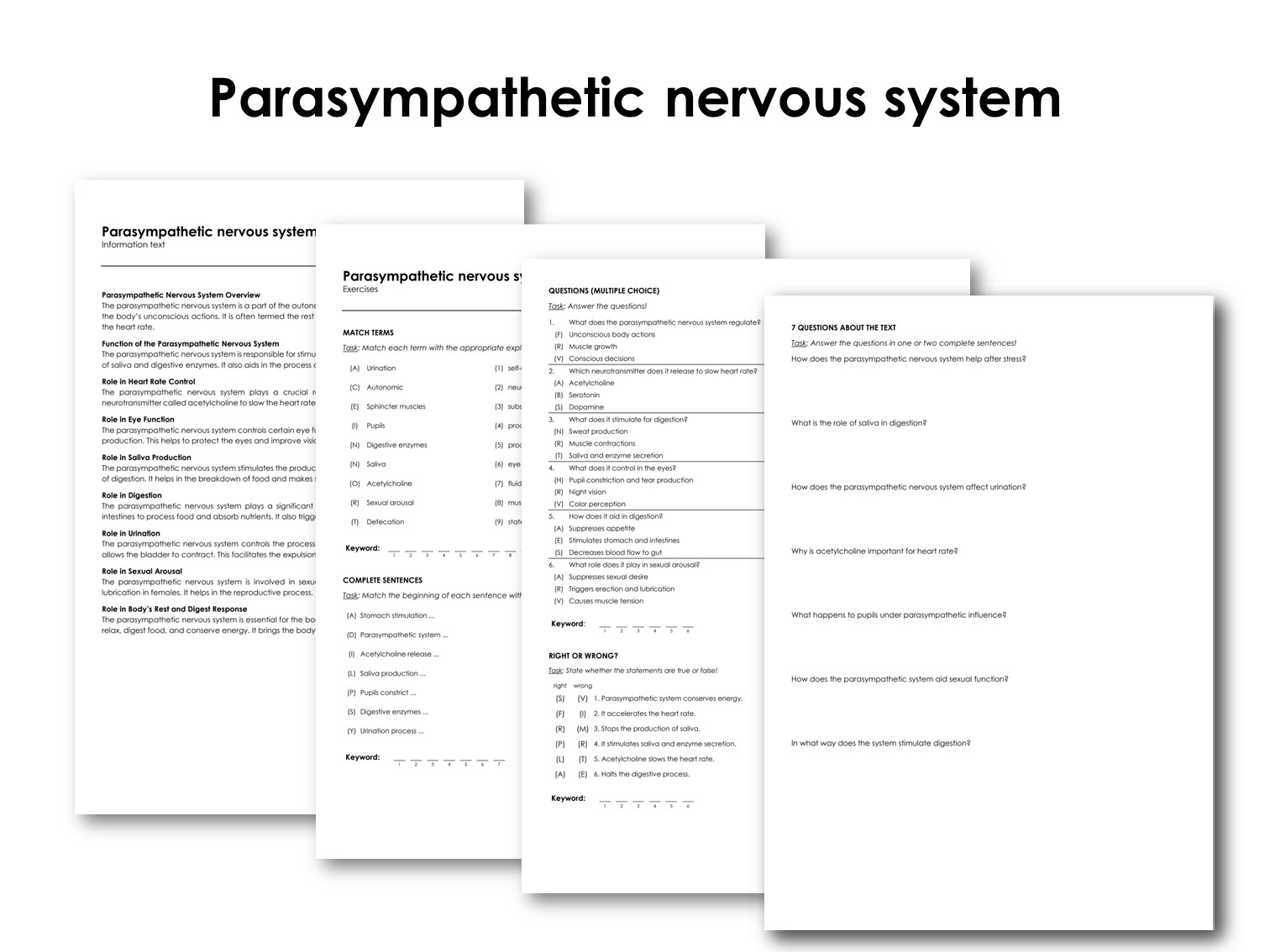 Parasympathetic nervous system