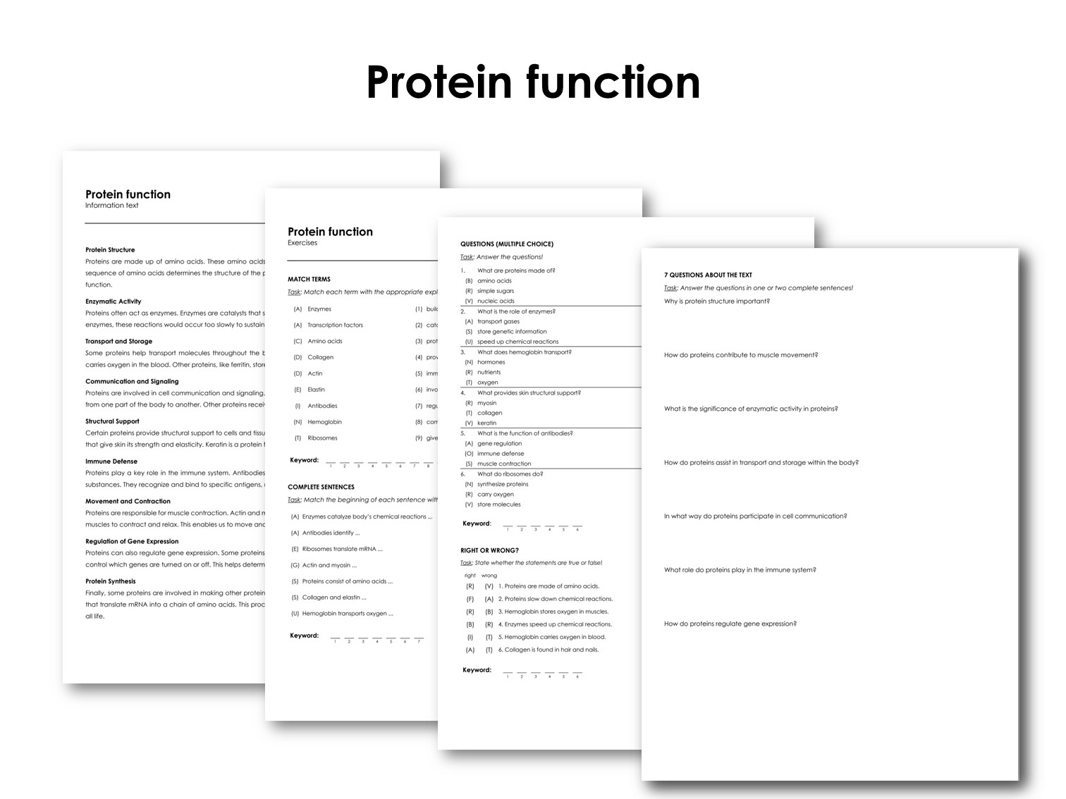 Protein function