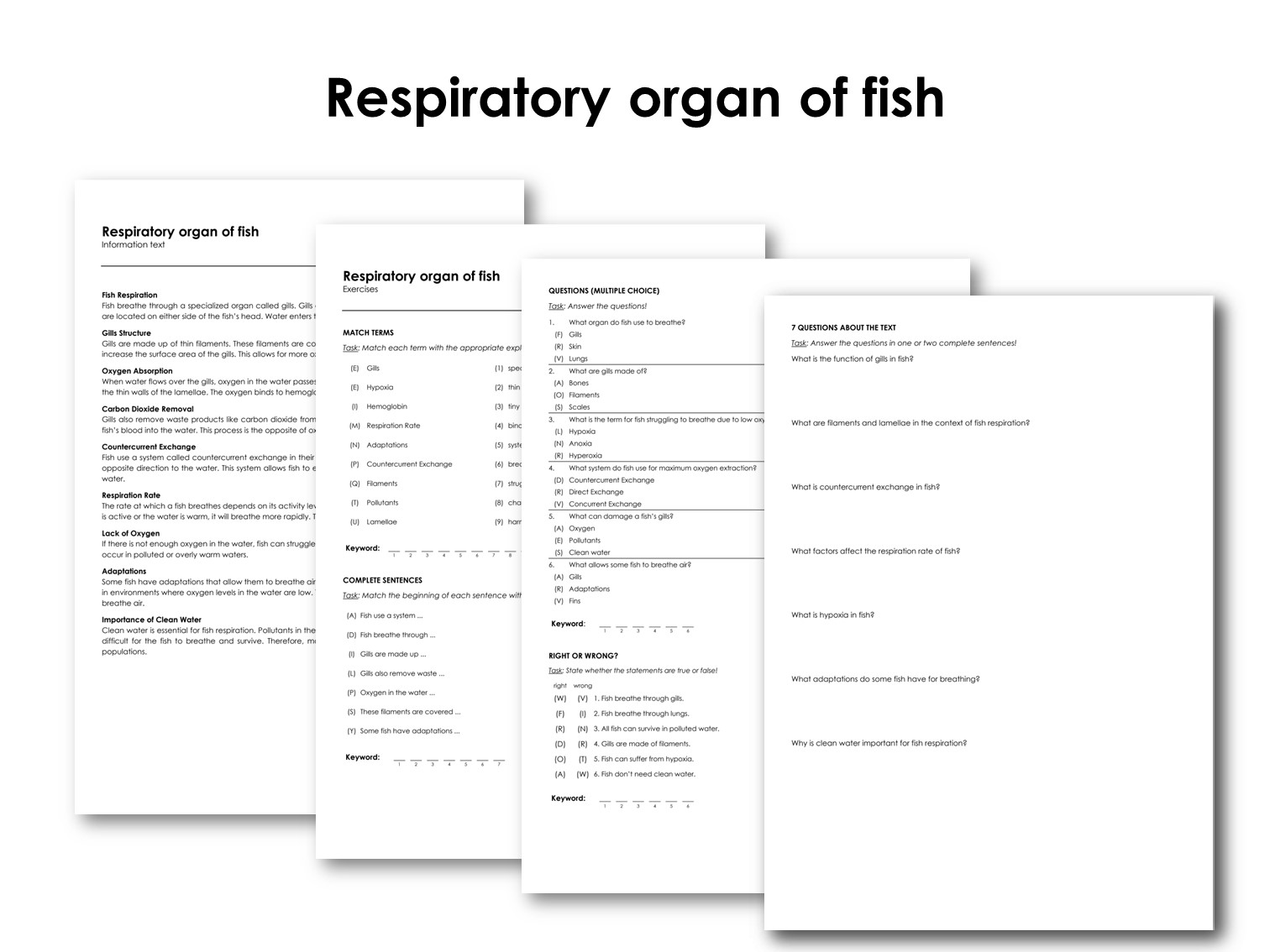 Respiratory organ of fish
