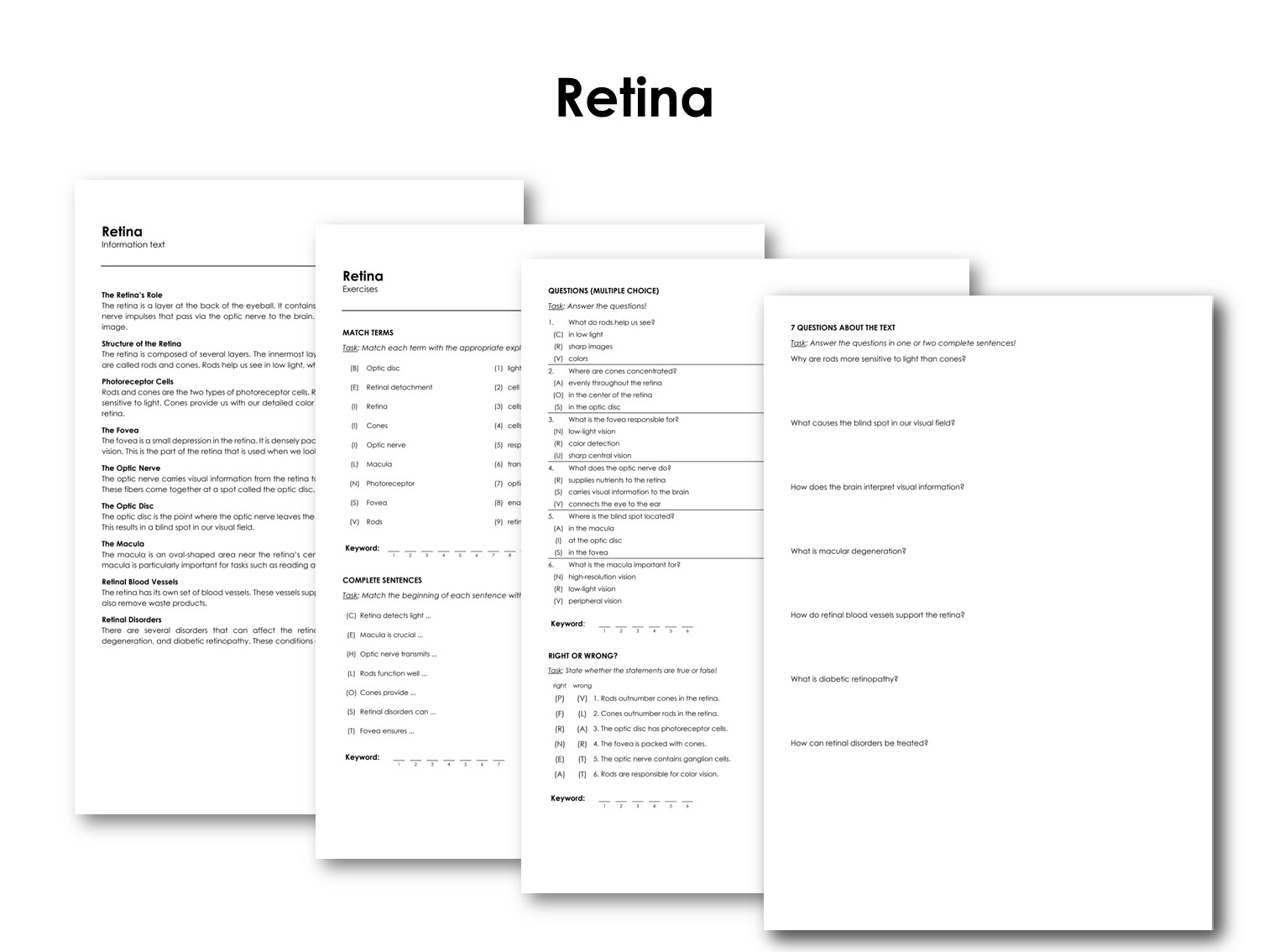 Retina