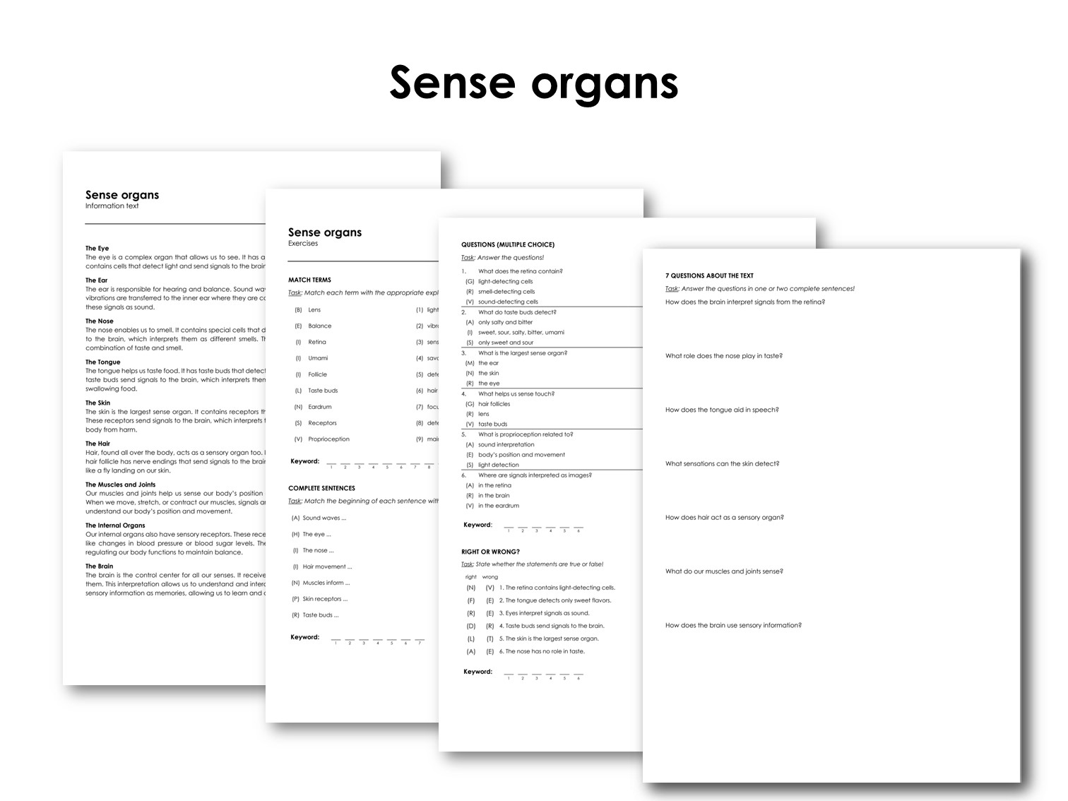 Sense organs