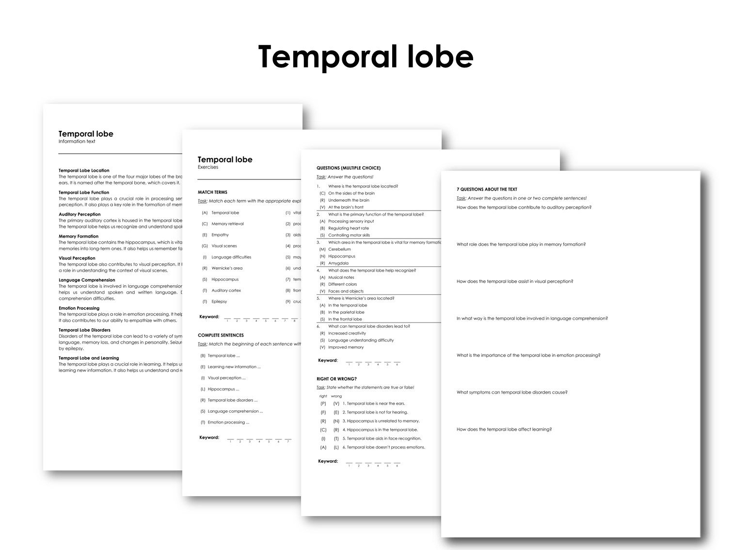 Temporal lobe