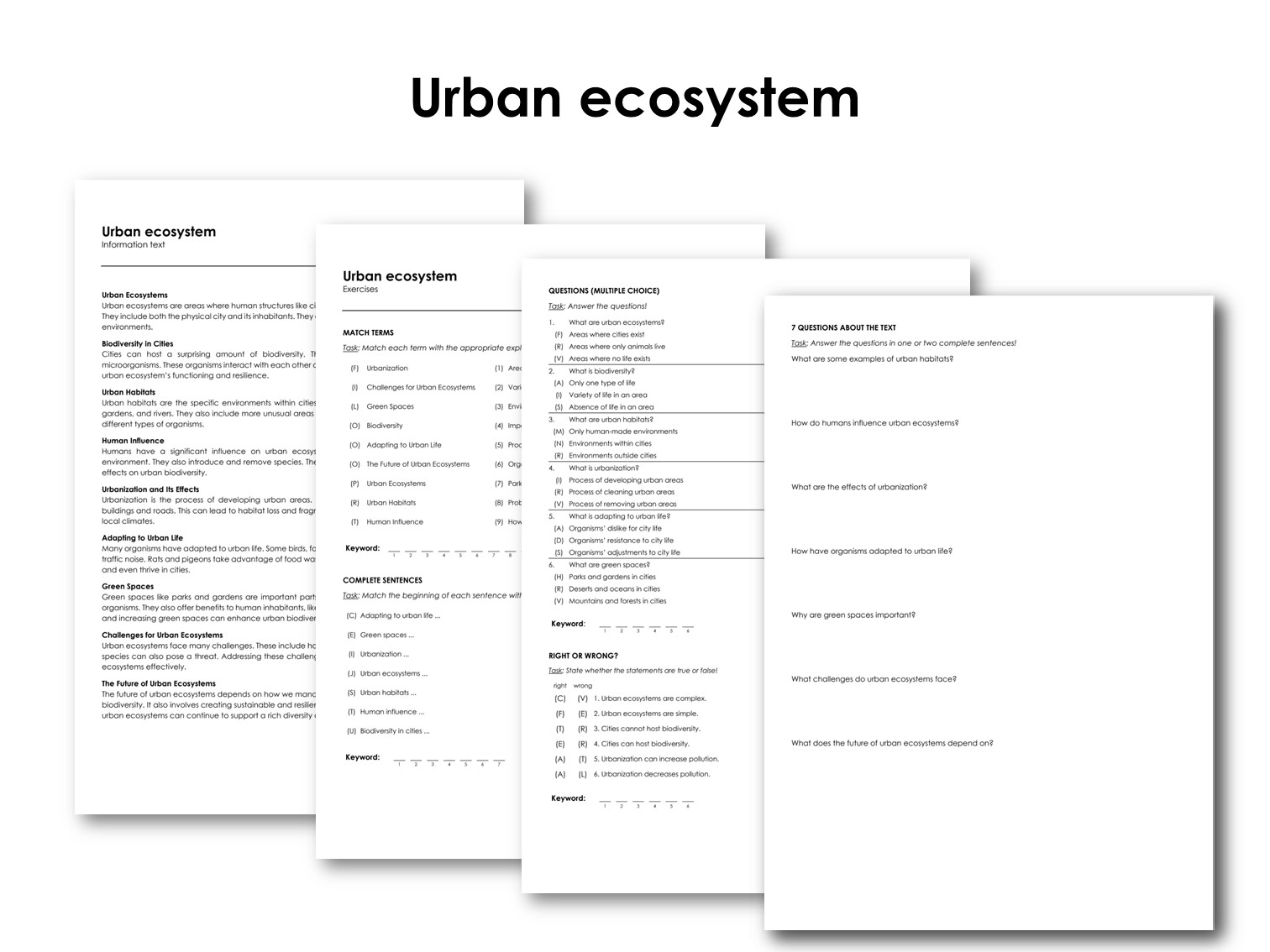 Urban ecosystem