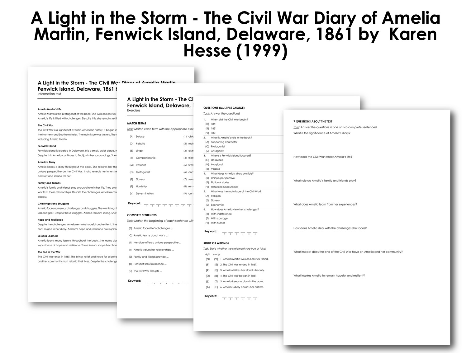 A Light in the Storm - The Civil War Diary of Amelia Martin, Fenwick Island, Delaware, 1861 by  Kare