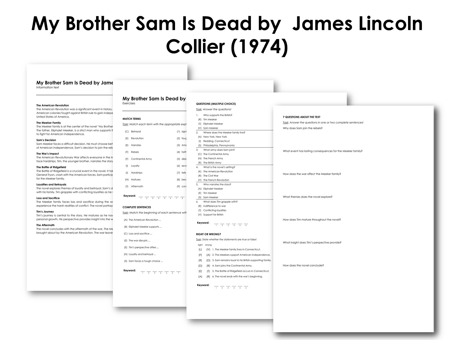 My Brother Sam Is Dead by  James Lincoln Collier (1974)