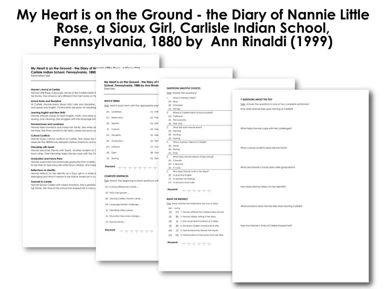 My Heart is on the Ground - the Diary of Nannie Little Rose, a Sioux ...
